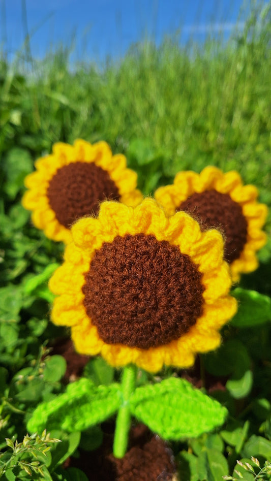 Sunflower & Daisy