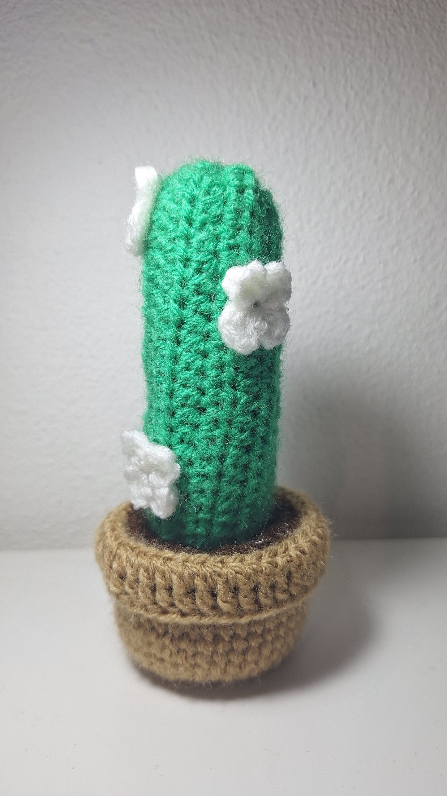 Sunflower + Leafy succulent + Cactus + Daisy